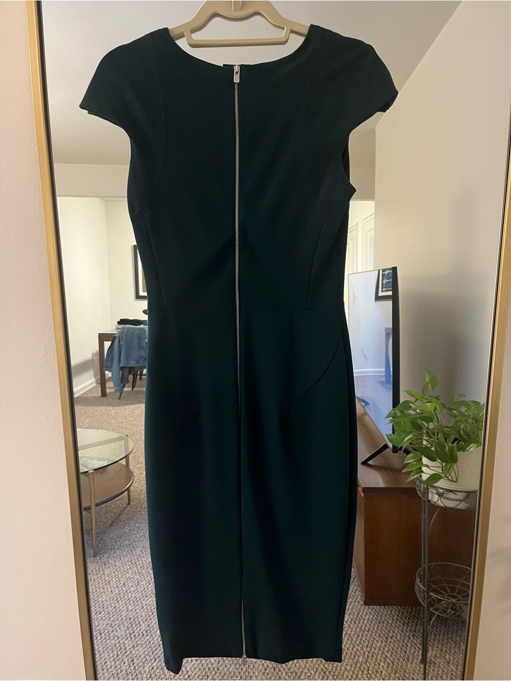 Zara Emerald Green Sheath Dress - Picture 6 of 8